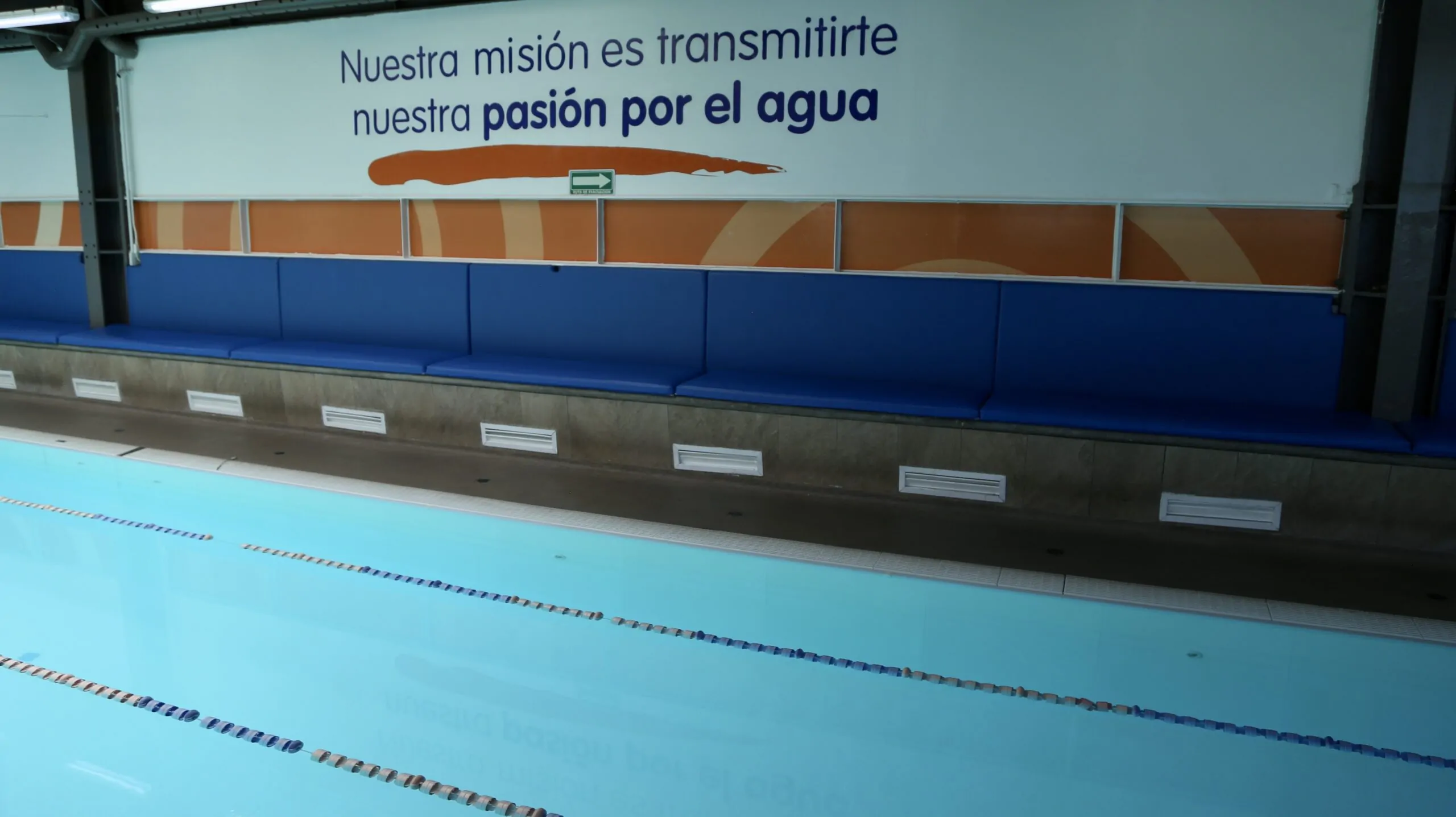 Noticias Clases de natación